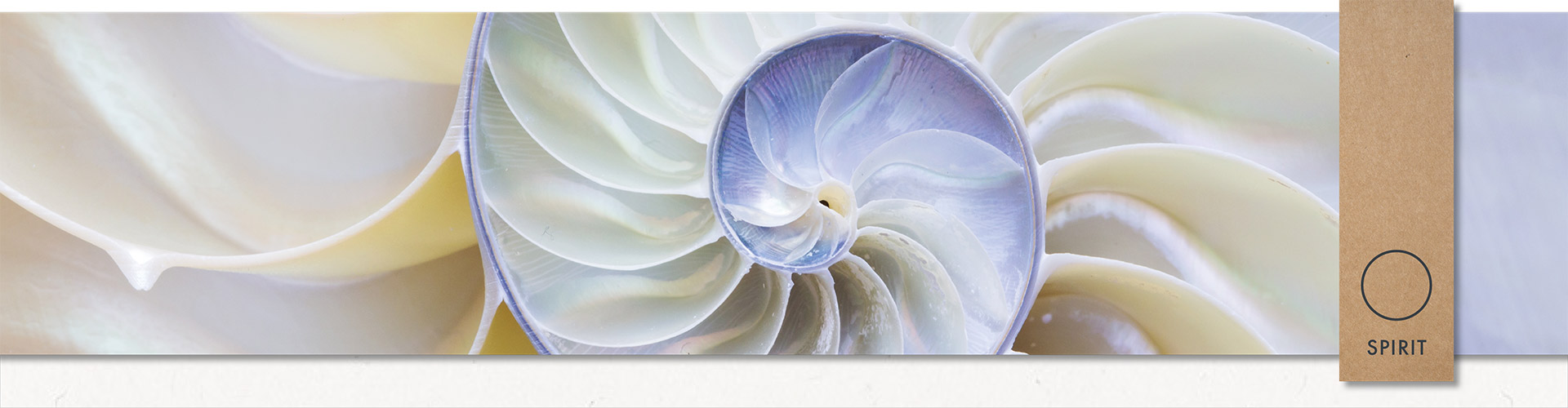 banner-spirit-optimized1920x500